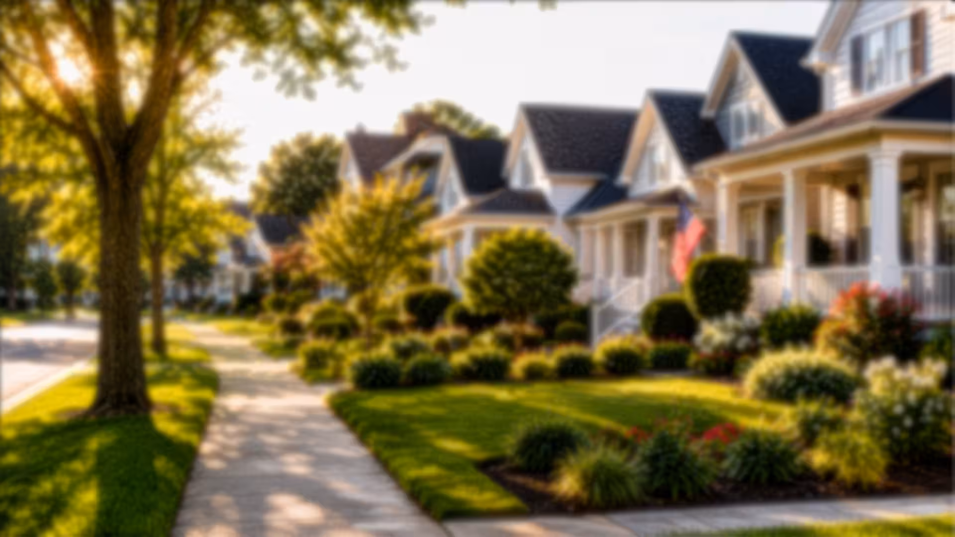 find neighbors online